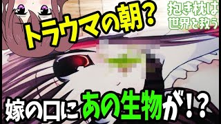 【実話】抱き枕の嫁に訪れた悲しい事件を３つお話します