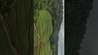 #Munnar #Waterfall #Nature#lovers #I #love #Nature.. #Tourism