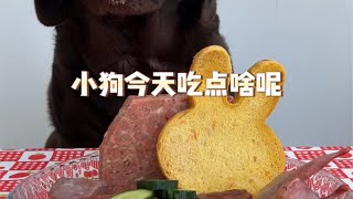 小狗今天吃点啥呢