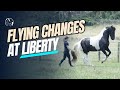 LIBERTY: Training FLYING CHANGES!!