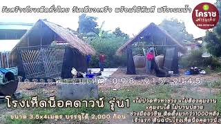 สร้างโรงเห็ดน็อคดาวน์ จ. สุพรรณบุรี 2หลัง เสร็จงานภายใน3 วัน พร้อมลงก้อนเห็ดนางฟ้าภูฐาน 4000 ก้อน