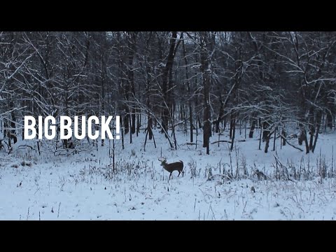 Minnesota Deer Hunting Last Weekend 2021 | Big Buck - YouTube