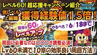 【ドラクエウォーク】#134・めざせ60!超応援レベルアップキャンペーンはやるべきか!★現状の達成レベルによってやった方が良いかやらない方が良いか独自考察!「ふぉーくチャンネル」