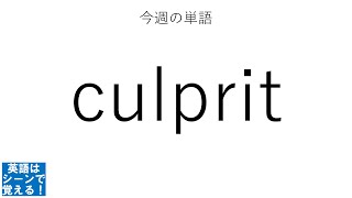 英語はシーンで覚える！#023 culprit