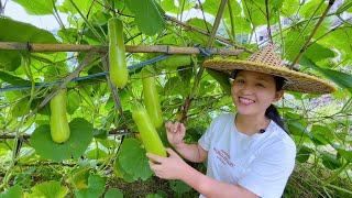 Pugua try is gratifying, pick one to make Pugua cake, Yike also likes to eat