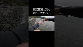 【lake biwa】奥琵琶湖の浜で釣りしてたら超絶アグレッシブなアイツが・・・【奥琵琶湖】・・・#shorts