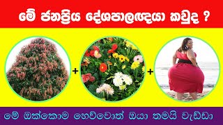 Smart Test EP:123| මේවා ස්මාට් වැඩ්ඩන්ට විතරයි | Riddles In Sinhala l Sinhala Riddles