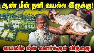 ஆண் மீன் தனி வயல்ல இருக்கு! வயலில் மீன் வளர்க்கும் வித்தை!  #fishfarming #integratedfarming