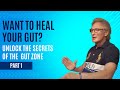 How to Beat IBS with Dr. Colbert's Gut Zone part 1