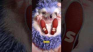 🔥 OS PERSONAGENS DE SONIC NA VIDA REAL