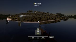 Russian Fishing 4 - Burbot Trophy 9,128 kg - Volkhov River