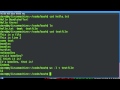 Bash Scripting 2 -- Bash Basics