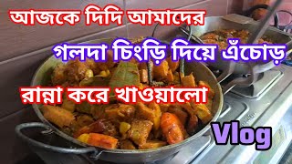 আজকে দিদির হাতের special এঁচোড় চিংড়ি রান্না করে খাওয়ালো || echor chingri recipe || myselfnishavlog