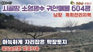 시골땅 소형평수 귀한매물 604평 남향 계획관리지역