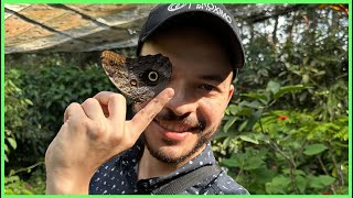 CONOCÍ el jardin BOTÁNICO del QUINDIO y ESTO PASO | El mariposario Colombia Armenia