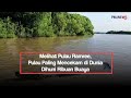 Melihat Pulau Ramree, Pulau Paling Mencekam di Dunia Dihuni Ribuan Buaya