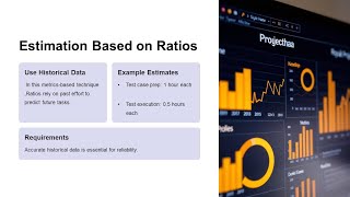 Estimation Techniques in Software Testing