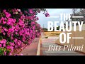 The Beauty of Bits Pilani | Evenings