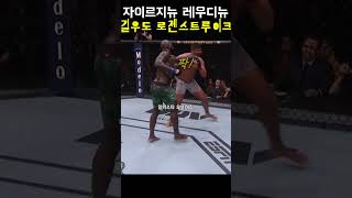 수리남 출신 UFC 헤비급 파이터