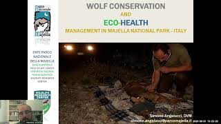 Wolf conservation and Eco-Health Management in Majella National Park, Italy (Simone Angelucci)