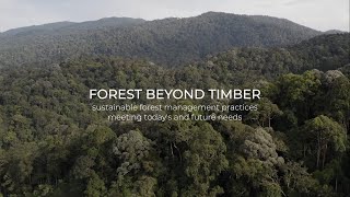 FOREST BEYOND TIMBER by Malaysian Timber Council