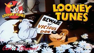 LOONEY TUNES (Looney Toons): Ding Dog Daddy (1942) (Remastered) (HD 1080p)