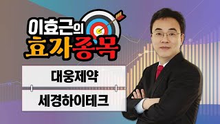 [효자종목] 대웅제약·세경하이테크 / 이효근의 효자종목 / 매일경제TV