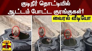 குடிநீர் தொட்டியில் ஆட்டம் போட்ட குரங்குகள்!  -  வைரல் வீடியோ | Monkey | kanyakumari