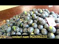 fruits market wholesale bangalore today price மாதம் லட்சம் அள்ளளாம் tamil