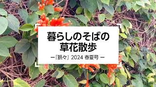 暮らしのそばの草花散歩 |『脈々』2024 春夏号