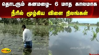 தொடரும் கனமழை- 6 மாத காலமாக நீரில் மூழ்கிய விளை நிலங்கள் | Rasipuram | Heavy Rainfall