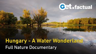Wild Hungary - A Water Wonderland - Full Nature Documentary