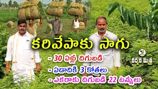 కరివేపాకు సాగు లాభమా? నష్టమా? || నాటిన 30 ఏళ్లు దిగుబడి || Curry Leaves Farming || Karshaka Mitra