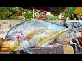 KASIMEDU 🔥 SPEED SELVAM | 14 KG BIG DIAMOND 💎TREVALLY FISH CUTTING VIDEO | IN KASIMEDU | FF CUTTING