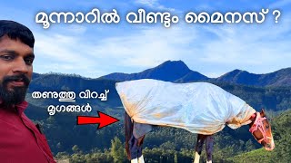 മൂന്നാറിൽ മൈനസ് തണുപ്പ് ? Munnar Minus Temperature And Kundala Dam | Chinnar Wildlife Sanctuary