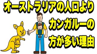 信じられない！ カンガルーがオーストラリアで人間より多くなる理由とは #カンガルー #オーストラリア #人口