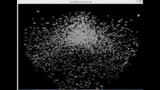 GPU Accelerated Flocking Simulation