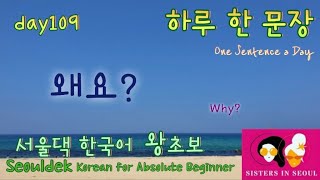 [서울댁한국어 왕초보 Seouldek Korean for Absolute Beginner]  왜요?