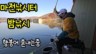 [LIVE]마전낚시터 밤낚시