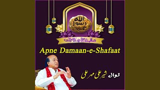 Apne Damaan-e-Shafaat