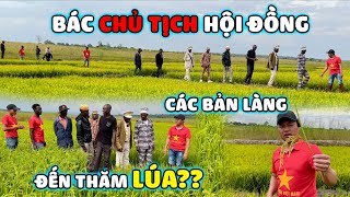 Thế Nhân || Cánh Đồng Lúa Nước Việt Nam Bất Ngờ Tiếp Đón Đoàn Các Trưởng Bản Ưu Tú Ghé Thăm