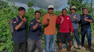 Tengok Kondisi Pertanian di Sorong Bersama BOD EWINDO dan YBTS!