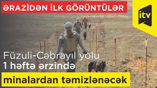 Füzuli-Cəbrayıl yolu1 həftə ərzində xüsusi itlər vasitəsilə minalardan təmizlənəcək-ÖZƏL