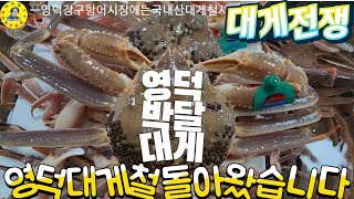 水産市場 경북영덕군 강구항어시장, 동광어시장, 난전어시장 영덕대게 제철시세! 견문록♡삶1719/Yeongdeok ganggu port fish, korea