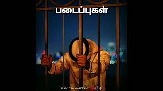 படைப்புகள் #naamislamic #islam #allah #tamilbayan