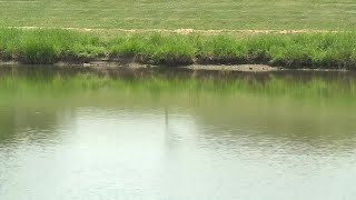 Madison woman found dead in Verona retention pond