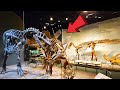 Museum of Nature & Science Denver Colorado Full Tour 2024