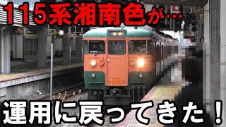 【歓喜】運用から離脱していた115系湘南色が戻ってきた！