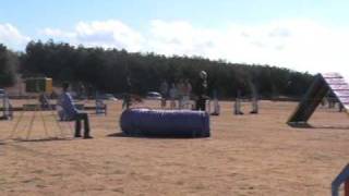 Doberman Agility OPDES in Miyazaki 2009-1-12