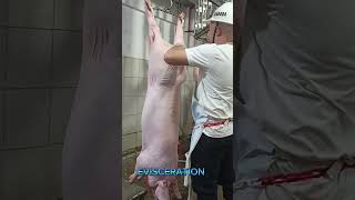 Slaughtering a Swine Operation.